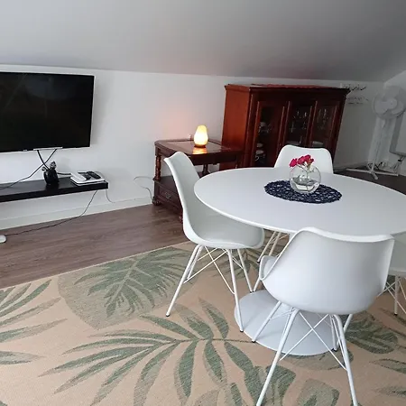 Homestay Family In Modern House *